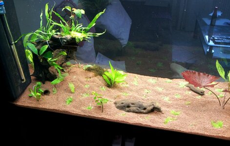2012-03-30 18.24.08.jpg