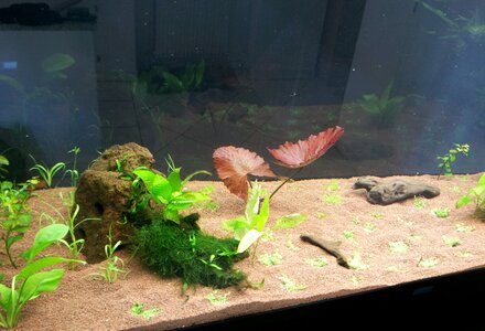 2012-03-30 18.22.48.jpg
