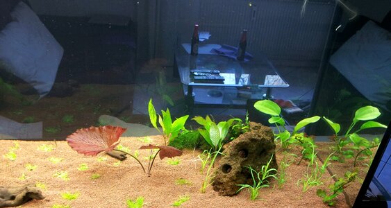 2012-03-30 18.40.51.jpg