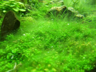 DSCF7716.JPG