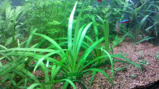 2012-04-12_14-17-08_305.jpg