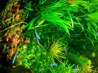 20120413_091057.jpg