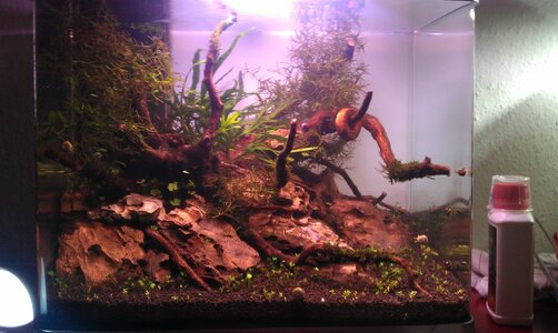 IMAG0205.jpg