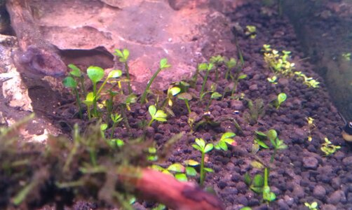 IMAG0211.jpg