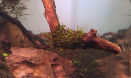 IMAG0210.jpg