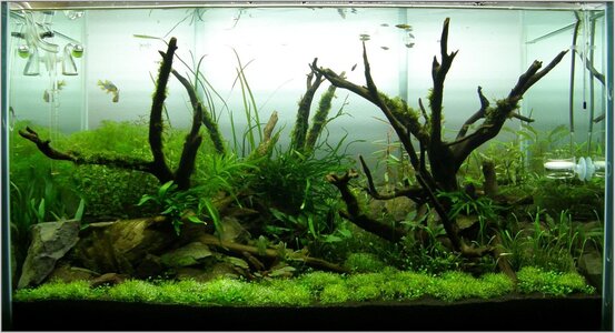 90er_15042012_flow.jpg