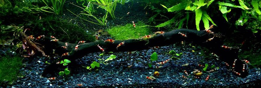 060420125948_1.jpg