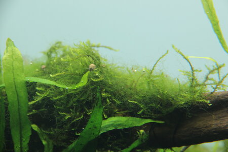 20120423_21.04.JPG