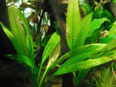 DSCF6716.JPG