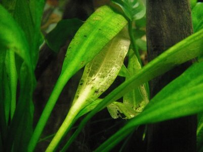 DSCF6715.JPG