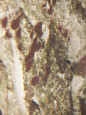 PICT0002.JPG