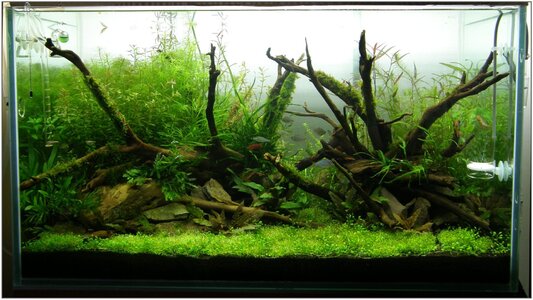 90er_05052012_1_flow.jpg