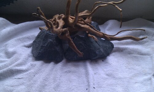 Hardscape 2 bearbeitet.jpg
