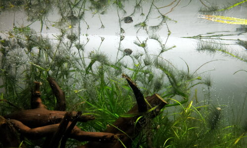 2012-05-11 17.21.38.jpg