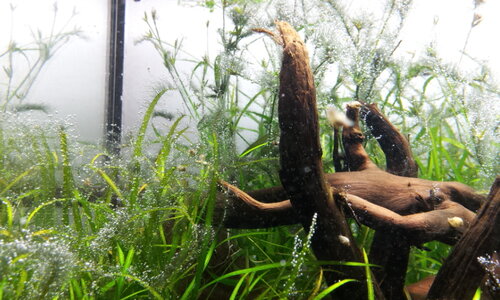 2012-05-11 17.22.10.jpg
