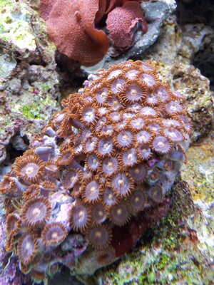 20120424_170402.jpg