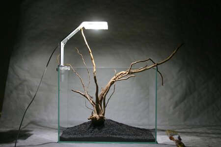 K800_IMG_8277.JPG
