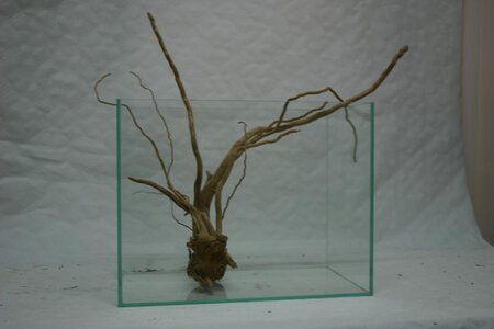K800_IMG_8273.JPG