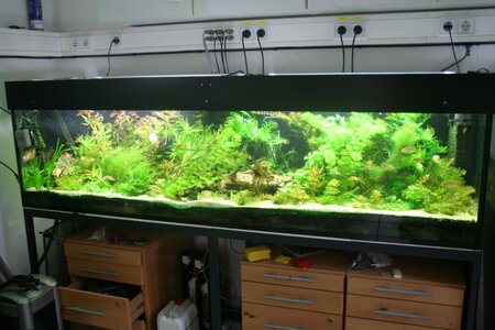 Becken-500.jpg