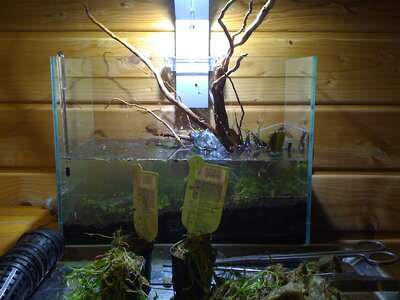 IMG_0098.JPG