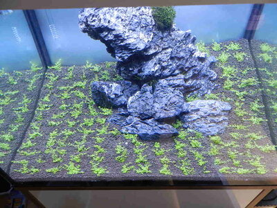 DSCN0561.JPG