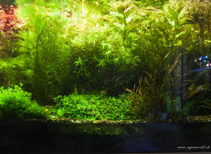 _1070147.jpg