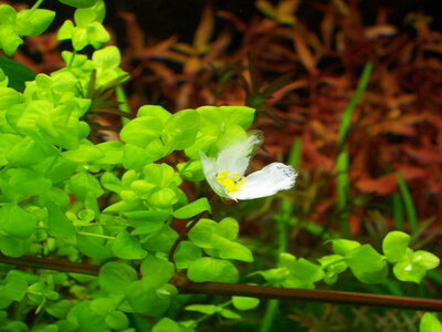 _100_1179.jpg