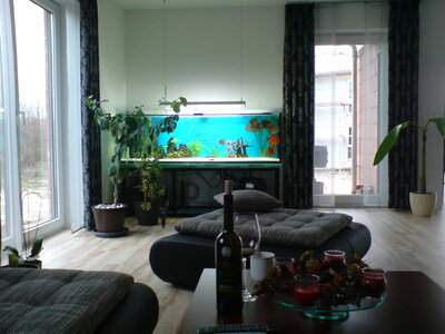 Couchblick.JPG