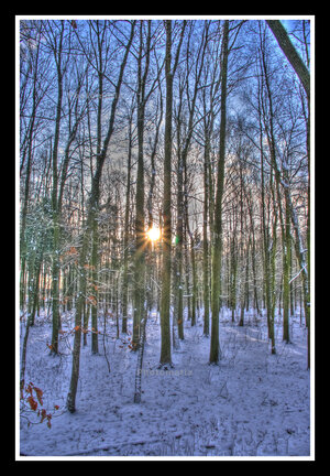 HDR.jpg