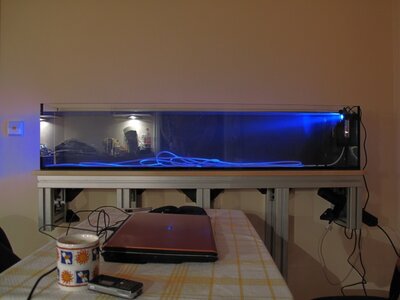 IMG_2373.jpg