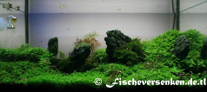 54l20100116.JPG