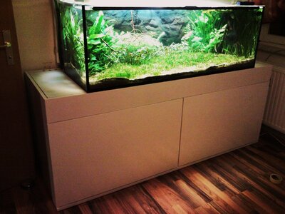 Schrank mit Türen und 450l Becken drauf.jpg