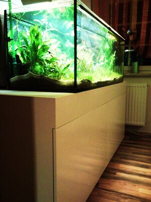 Schrank mit Türen und 450l Becken drauf (2).jpg