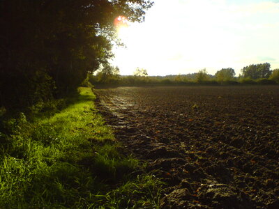 DSC00829.JPG