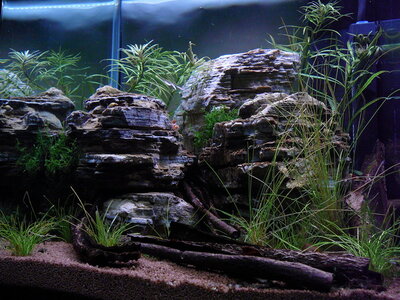 P1090024.JPG