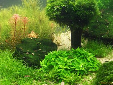 PICT7903.jpg