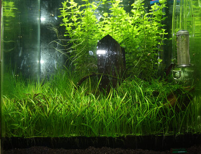 Aquarium 001.jpg