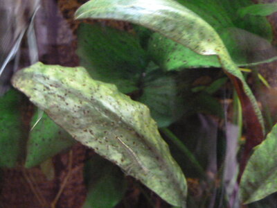 P1020226.JPG