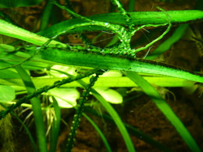 P1020239.JPG