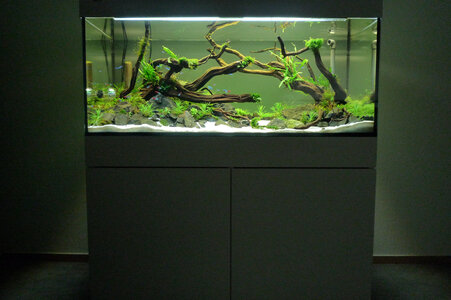 aquarium schrank.jpg