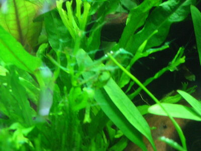 121-2130_IMG.JPG