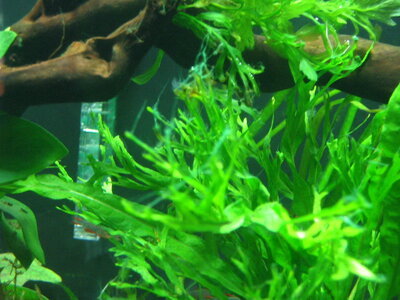121-2134_IMG.JPG