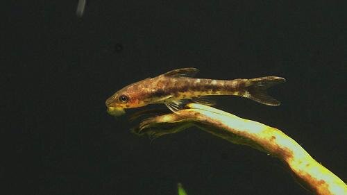 2012-07-12-178_1.jpg