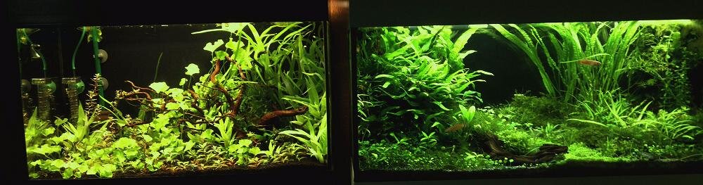 2012-07-12-200_1.jpg