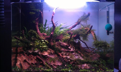 IMAG0236.jpg