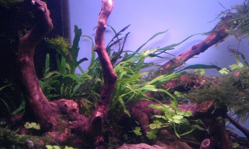 IMAG0238.jpg