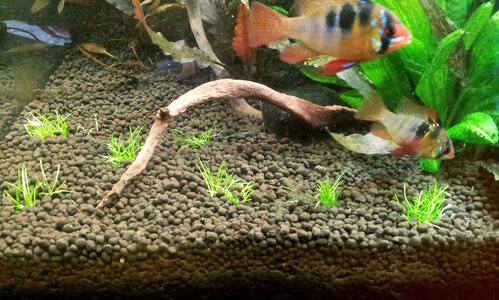 20120728_113041.jpg