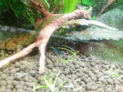 20120729_141230.jpg
