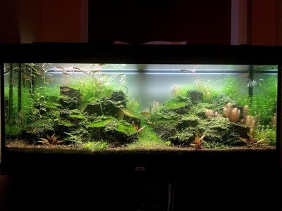 20120812_174504ba.jpg