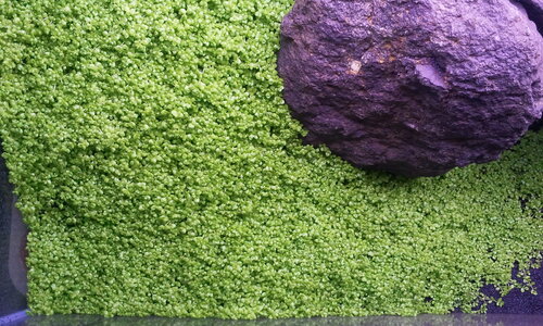 2012-08-15 20.50.44.jpg
